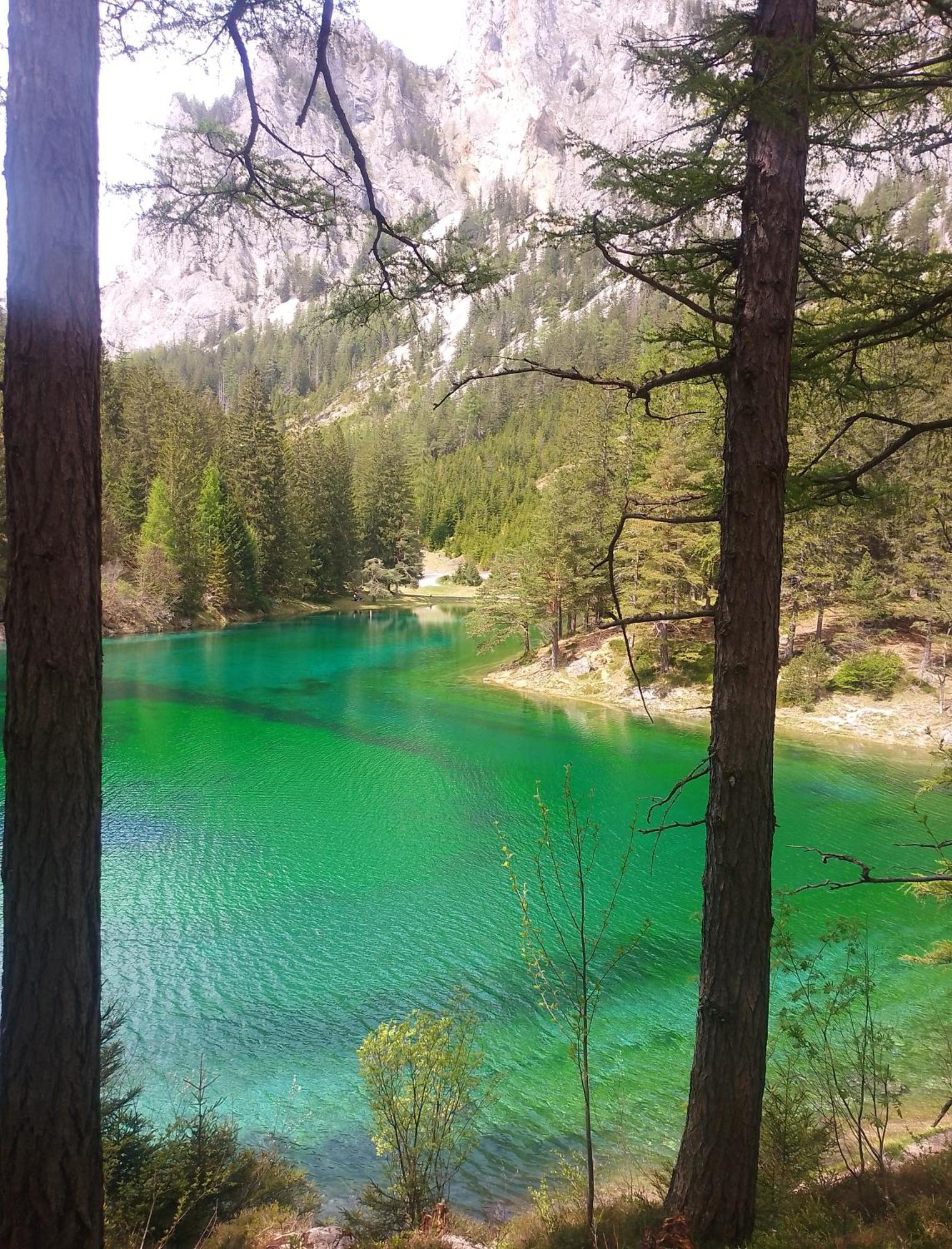 Haus Bergblick Fruehstueckspension Oberort Экстерьер фото