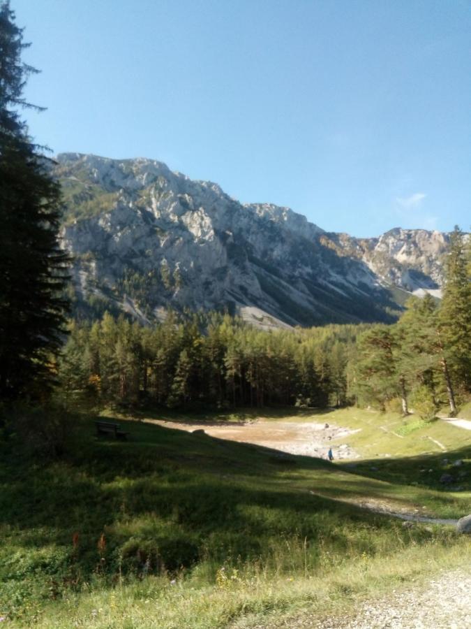 Haus Bergblick Fruehstueckspension Oberort Экстерьер фото